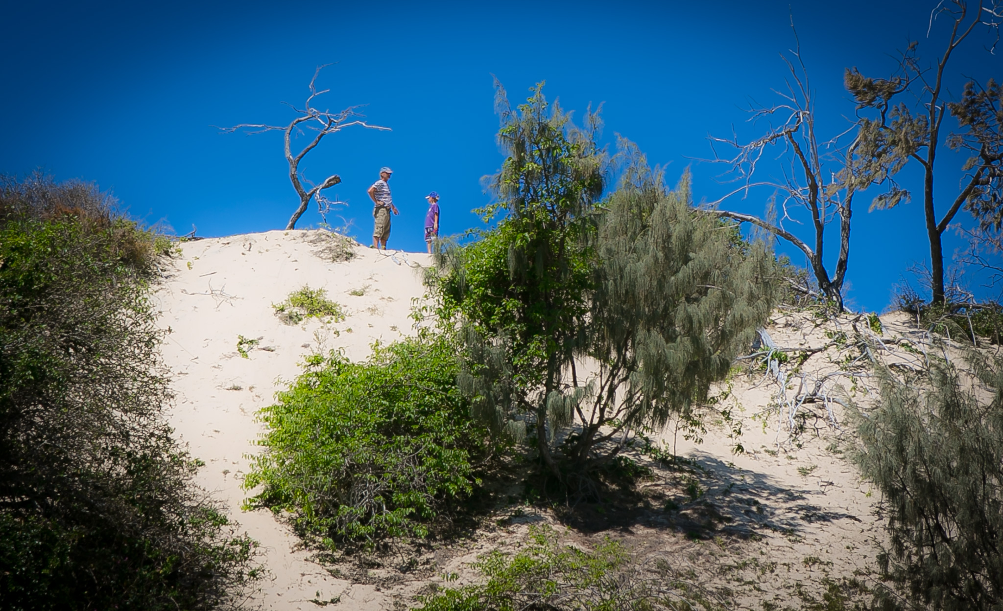 Top of the Dune