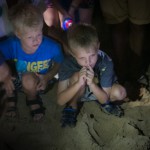 Turtle eggs at Mon Repos