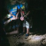 Turtle eggs at Mon Repos