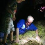 Turtle eggs at Mon Repos